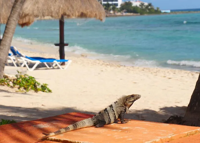 Apartamento Paradise Private - Wifi, Ac *